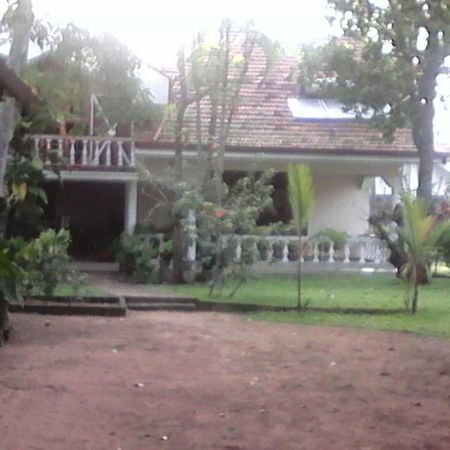 Villa Pala Negombo Eksteriør billede